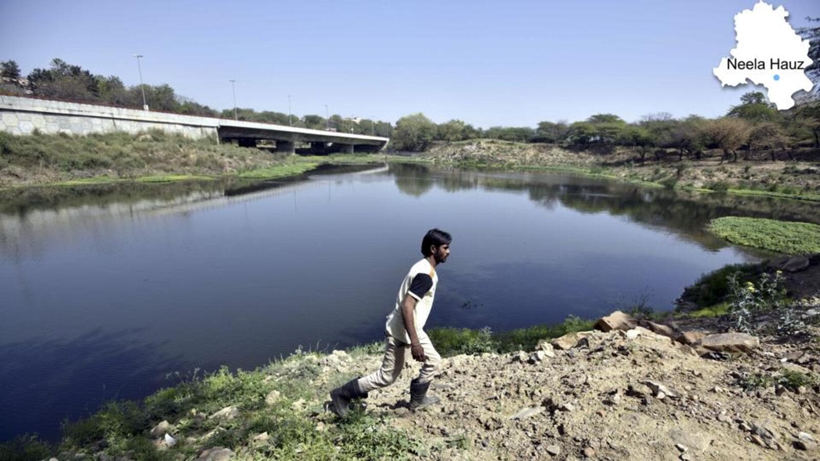 Half of Delhi’s water bodies remain only on paper, shows revenue dept survey