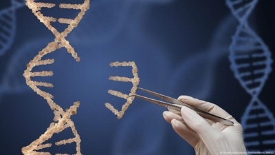 Subtle differences in our DNA change our response to diseases (Roman Ivashchenko/PantherMedia/IMAGO) Subtle differences in our DNA change our response to diseases (Roman Ivashchenko/PantherMedia/IMAGO)