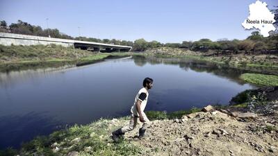 A pond in south Delhi. (HT Archive) A pond in south Delhi. (HT Archive)
