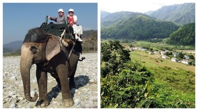 Jim Corbett National Park: Located in Uttarakhand, this national park is among one of the popular national parks in India. Nestled at the base of the Himalayas, it features a stunning landscape that is home to a diverse array of wildlife. Alongside tigers, visitors on elephant back can also encounter animals such as sloth bears, gorals, fishing cats, leopards, chitals, and deer. (Pinterest) Jim Corbett National Park: Located in Uttarakhand, this national park is among one of the popular national parks in India. Nestled at the base of the Himalayas, it features a stunning landscape that is home to a diverse array of wildlife. Alongside tigers, visitors on elephant back can also encounter animals such as sloth bears, gorals, fishing cats, leopards, chitals, and deer. (Pinterest)