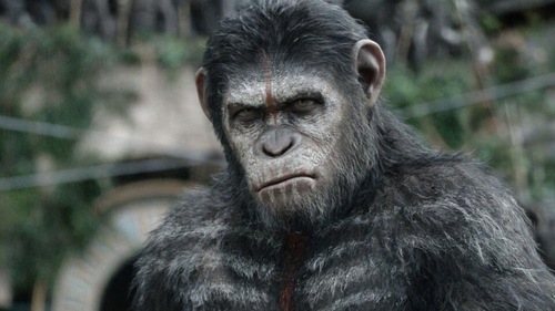 Andy Serkis as Caesar in the Planet of the Apes reboot series. Andy Serkis as Caesar in the Planet of the Apes reboot series.