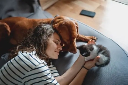 Simply sit and chill with your pets. (Unsplash) Simply sit and chill with your pets. (Unsplash)