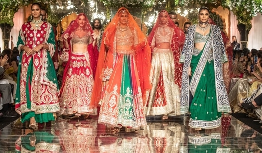 Why is there a decline of body diversity on the Indian ramp? We dig deep to find out. 