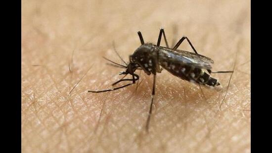 TB is an infectious disease caused by Mycobacterium tuberculosis, which spreads when an infected person expels the bacteria through the mouth or nose. (HT PHOTO)