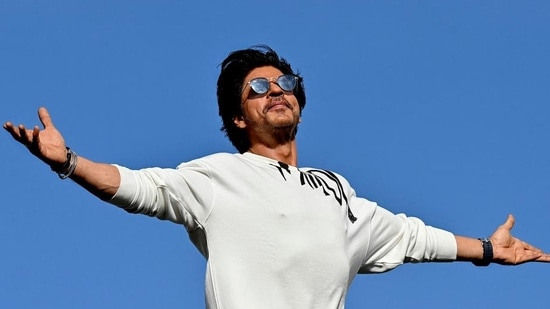 Shah Rukh Khan made many interesting confessions at Locarno Film Festival 2024. (Photo by Sujit JAISWAL / AFP) (AFP)