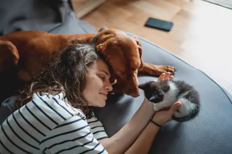 Simply sit and chill with your pets.