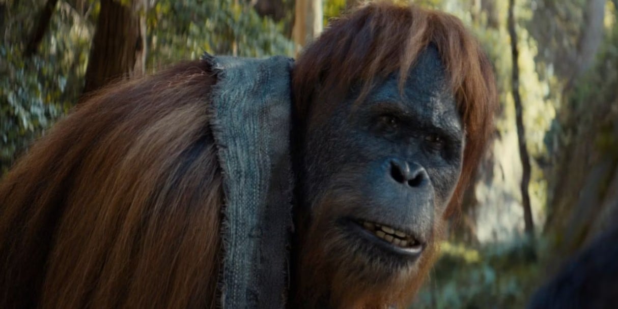 Raka the orangutan in Kingdom of Planet of the Apes