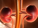 “Of all the organs, the demand for kidney donation is the highest, “Of all the organs, the demand for kidney donation is the highest,