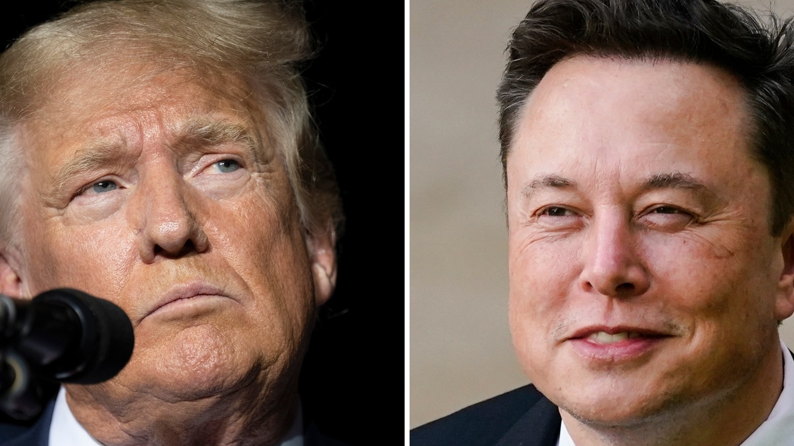 What is a DDoS attack? All about the malicious cybercrime that delayed Donald Trump's interview with Elon Musk