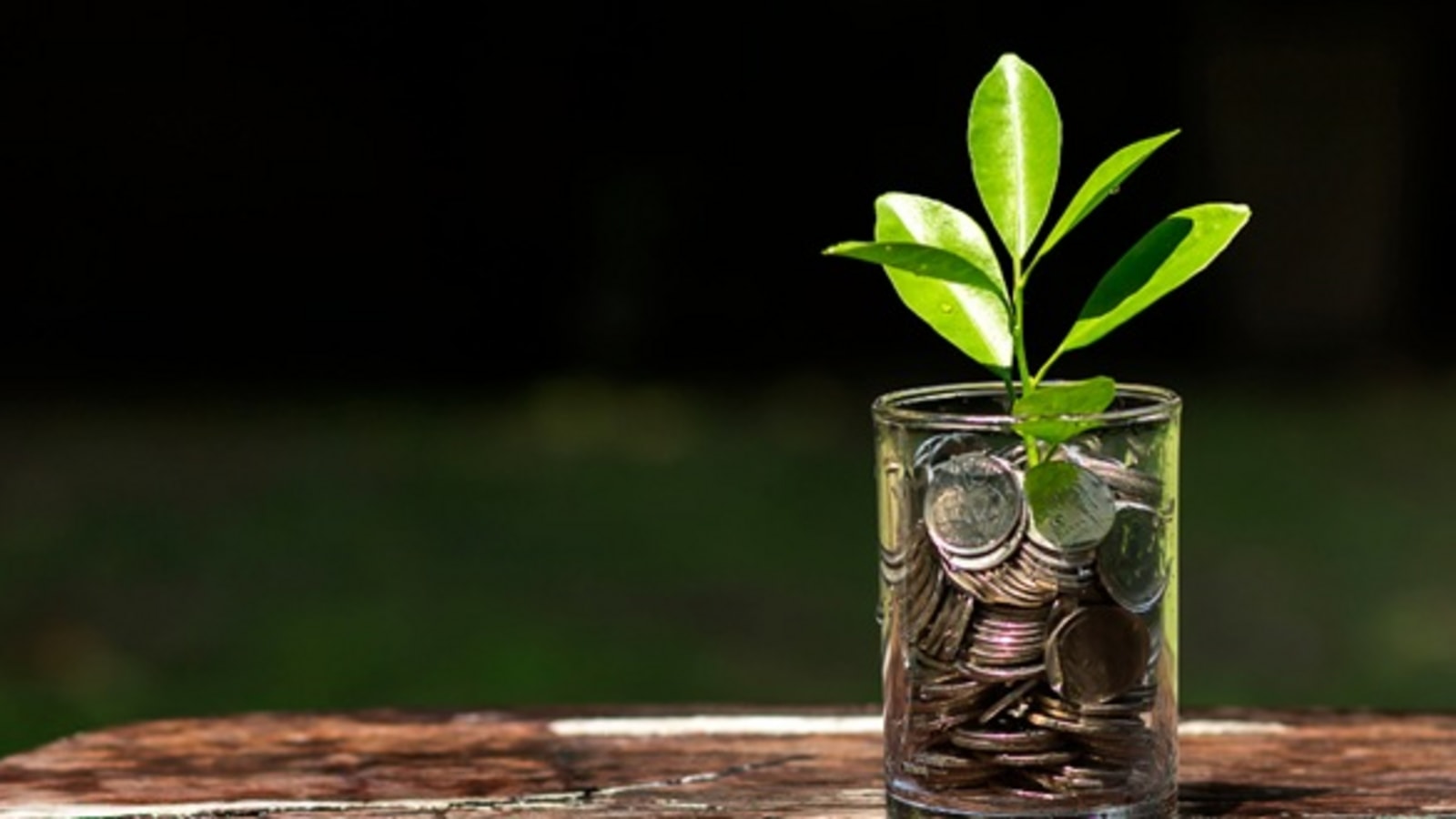 How do SIPs Help in Achieving Investment Goals Without Timing the Market?