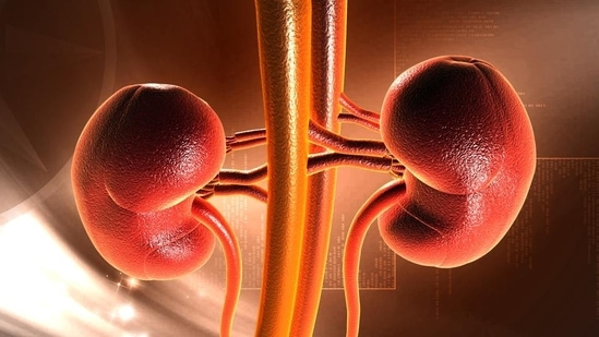 https://www.mobilemasala.com/health-wellness/Can-a-person-survive-with-one-kidney-Urologist-answers-i290153