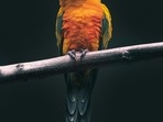 kevin-mueller-aeNg4YA41P8-unsplash