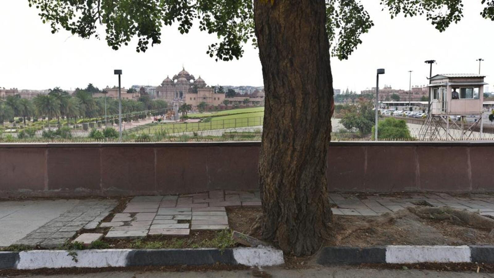 MCD fined ₹80K, issued notice over concretised, missing trees