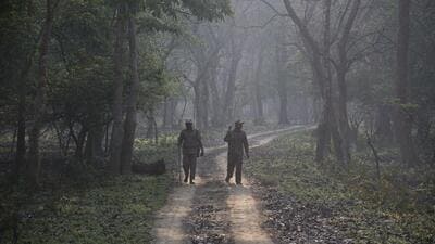 NGT was hearing an application by environmentalist and RTI activist Rohit Choudhury against violation of the forest conservation act in diversion of forests in Assam. (AP File Photo) NGT was hearing an application by environmentalist and RTI activist Rohit Choudhury against violation of the forest conservation act in diversion of forests in Assam. (AP File Photo)