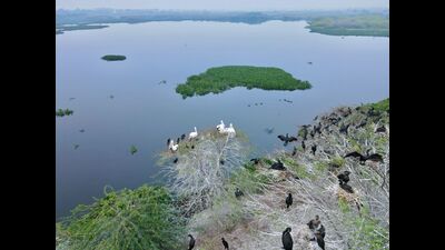 The three new Ramsar sites are Nanjarayan Bird Sanctuary and Kazhuveli Bird Sanctuary in Tamil Nadu and Tawa Reservoir in Madhya Pradesh. (HT PHOTO) The three new Ramsar sites are Nanjarayan Bird Sanctuary and Kazhuveli Bird Sanctuary in Tamil Nadu and Tawa Reservoir in Madhya Pradesh. (HT PHOTO)
