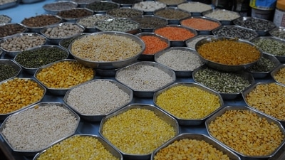The respite from inflation, if one goes by RBI’s own projections, is only temporary. (HT File Photo) The respite from inflation, if one goes by RBI’s own projections, is only temporary. (HT File Photo)