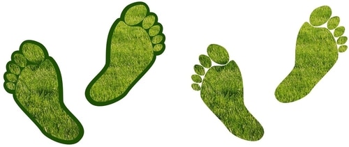 Offset your carbon footprint by investing in carbon-reducing projects that balance the emissions from your travels. (Pixabay)