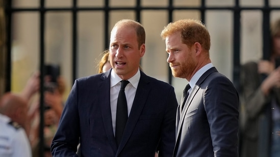 Prince Harry flew more than 5,000 miles to see his father after King Charles III was diagnosed with cancer. But he did not see his estranged brother, William, during a visit that lasted scarcely 24 hours. (AP Photo/Martin Meissner, File)(AP)