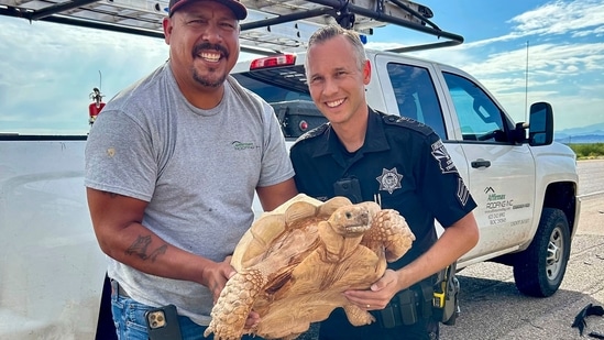 A driver and an officer of Arizona Department of Public Safety rescued a sulcata tortoise that was attempting to cross a road. (AP)