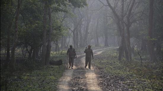 NGT was hearing an application by environmentalist and RTI activist Rohit Choudhury against violation of the forest conservation act in diversion of forests in Assam. (AP File Photo)