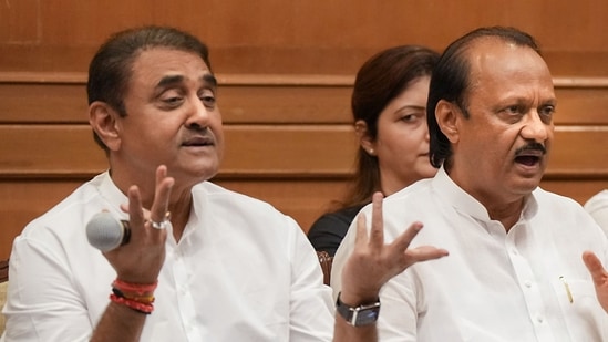 Praful Patel (left) and Ajit Pawar (PTI/File Photo)