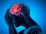 “Silent brain strokes occur when blood flow to a part of the brain is temporarily blocked, leading to tissue death," said Dr Raghvendra Ramdasi. 