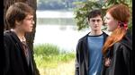Harry Potter’s folks died while protecting him. It shaped the course of his life. Harry Potter’s folks died while protecting him. It shaped the course of his life.