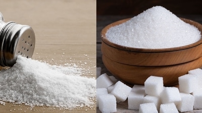 Microplastics in sugar and salt brands impose various health risks. Microplastics in sugar and salt brands impose various health risks.