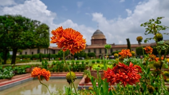 Flowers are in full bloom at Amrit Udyan, inside Rashtrapati Bhavan, which is all set to reopen for Udyan Utsav's second phase this year. (Photo: RAJ K RAJ /HT )