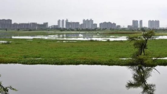 Relentless urban expansion and high demand for land have led to the rapid development and encroachment on Delhi's water bodies and wetlands, causing many to go “missing" (either on paper or on the ground) or be repurposed.