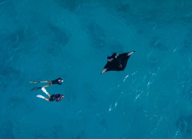 The resort has expert instructors who take you through a one-on-one scuba diving experience. The resort has expert instructors who take you through a one-on-one scuba diving experience.