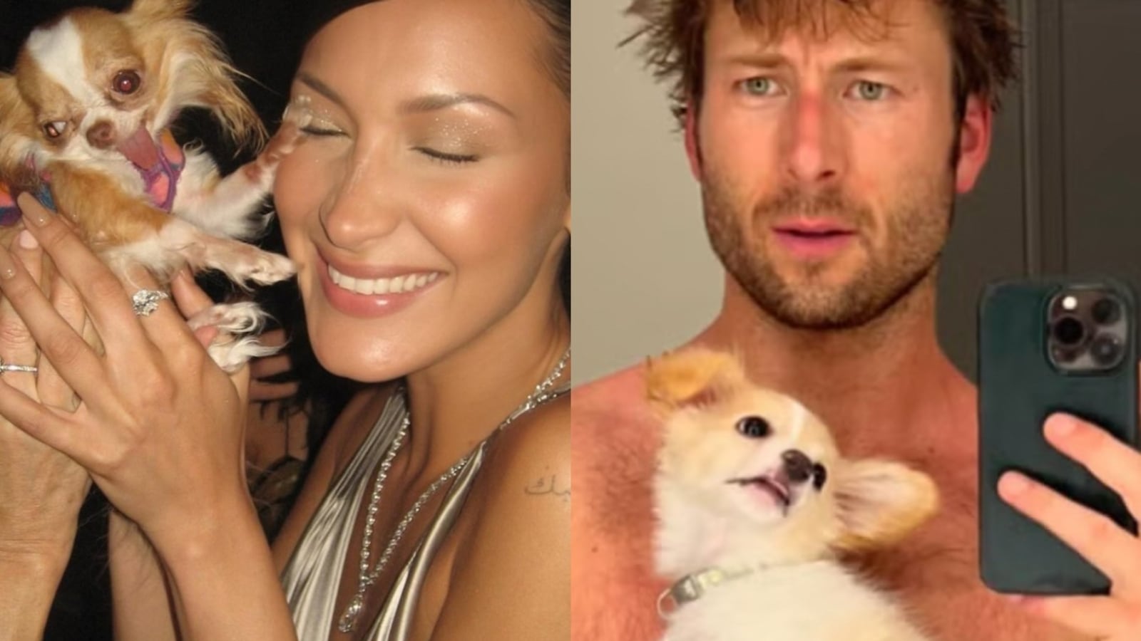 Demi Moore's chihuahua to Glen Powell's poodle mix: Celebrity dogs take centre stage as latest magazine cover stars