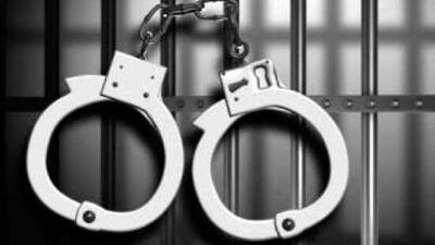 Four pistols were recovered from the possession of Vinod Kumar, alias Rahul, by the state special operation cell, Mohali. (HT Photo)