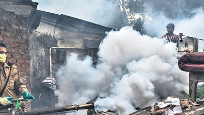 The city has recorded 555 dengue cases from August 1-14, in sharp contrast to 535 cases in July . (Photo by Satish Bate/ Hindustan Times) (Satish Bate/HT PHOTO) The city has recorded 555 dengue cases from August 1-14, in sharp contrast to 535 cases in July . (Photo by Satish Bate/ Hindustan Times) (Satish Bate/HT PHOTO)