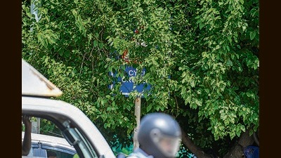 Overgrown branches of trees cover a signage at Sarai Kale Khan on Friday. (Raj K Raj/HT Photo)