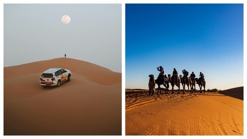 Desert safari is a must in Abu Dhabi. (Pexels) Desert safari is a must in Abu Dhabi. (Pexels)
