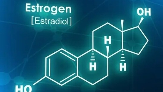 Endocrine disruptors: Certain chemicals in the environment can disrupt our hormonal balance, leading to overproduction of estrogens. This estrogen can block the thyroid receptors and disrupt its functionality. (Unsplash)