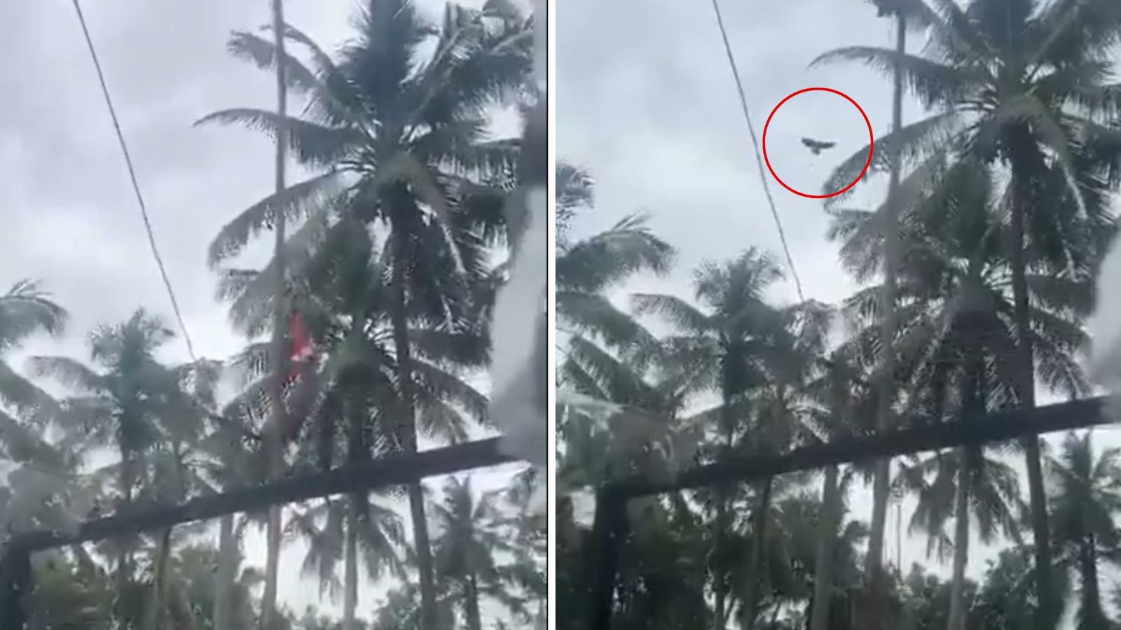 Did a bird help 'unfurl' the stuck national flag on Independence Day? Here's the truth behind the viral video | Trending