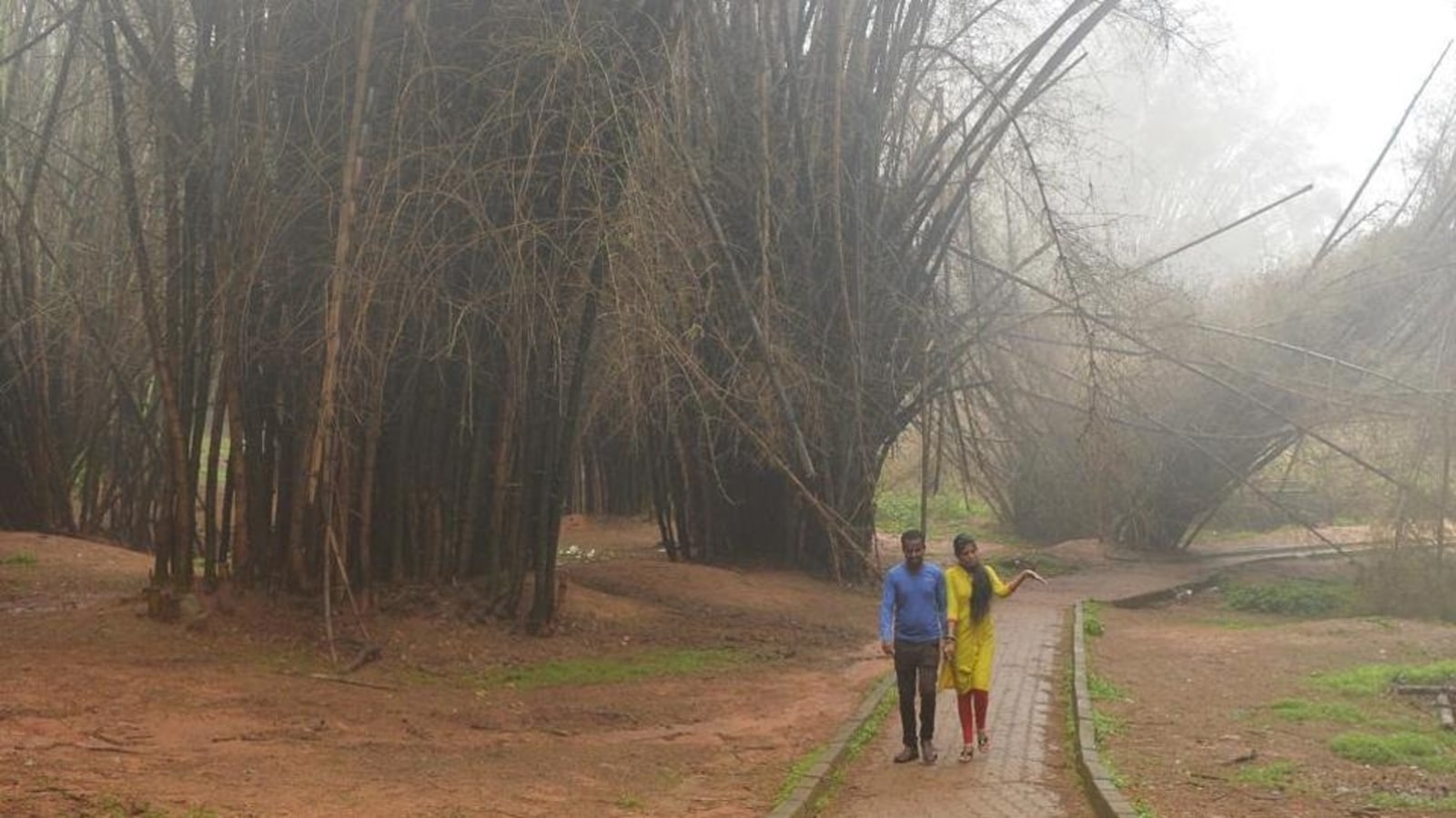 Women express concerns over sexual harassment at Bengaluru’s Cubbon Park amid Kolkata rape-murder: Report