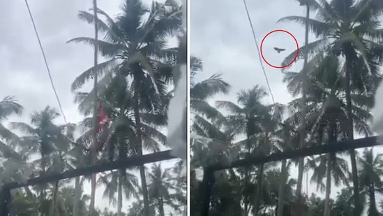The image is from a viral video that claims to show a bird “unfurling” the national flag. (Screengrab) The image is from a viral video that claims to show a bird “unfurling” the national flag. (Screengrab)