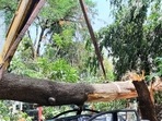 The BBMP is expected to compensate his family with <span class='webrupee'>₹</span>5 lakh as the first monsoon-related fatality this year. (Praful Gangurde/HT photo) The BBMP is expected to compensate his family with <span class='webrupee'>₹</span>5 lakh as the first monsoon-related fatality this year. (Praful Gangurde/HT photo)