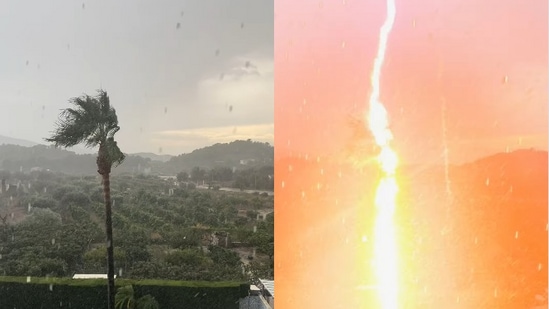 Snapshot of lightning striking the palm tree. (Instagram/@SallyNolan)