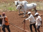 Sangli, India - May 25, 2023: Farmers sowing paddy seeds on a field, at Meni Village, in Sangli, India, on Thursday, May 25, 2023. (HT PHOTO) (Hindustan Times) Sangli, India - May 25, 2023: Farmers sowing paddy seeds on a field, at Meni Village, in Sangli, India, on Thursday, May 25, 2023. (HT PHOTO) (Hindustan Times)