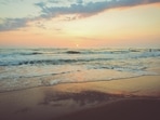 The dinosaur footprints were discovered on a beach in South Wales. (Unsplash) The dinosaur footprints were discovered on a beach in South Wales. (Unsplash)