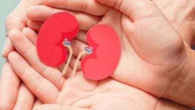 Initially, the patient’s mother came forward to be a donor, but she was found medically unfit for the surgery. Later, the patient’s sister came forward to donate her kidney. (REPRESENTATIVE PHOTO)