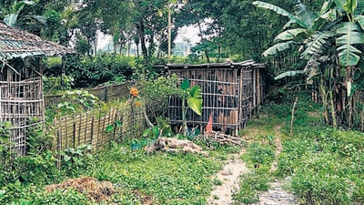 On August 5, Hasina fled the country as protesters stormed her residence amid widespread violence. (HT Photo) On August 5, Hasina fled the country as protesters stormed her residence amid widespread violence. (HT Photo)