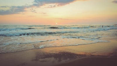 The dinosaur footprints were discovered on a beach in South Wales. (Unsplash)