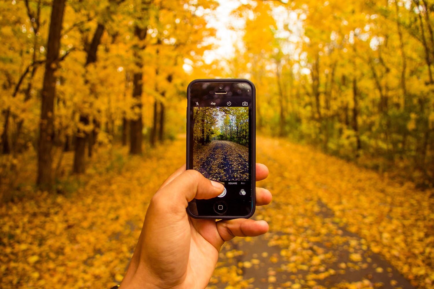 आपको अपने फोटोग्राफी कौशल को निखारने के लिए वास्तव में DSLR की आवश्यकता नहीं है (फोटो: द स्कूल ऑफ फोटोग्राफी - केवल प्रतिनिधित्व के उद्देश्य के लिए)