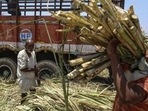 The initiative stems from the proliferation of cooperative sugar mills in the state during the 1970s and 1980s. (REPRESENTATIVE PHOTO) The initiative stems from the proliferation of cooperative sugar mills in the state during the 1970s and 1980s. (REPRESENTATIVE PHOTO)