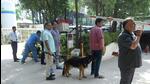 Bomb squad and police at Max Hospital in Saket. (HT Photo) Bomb squad and police at Max Hospital in Saket. (HT Photo)
